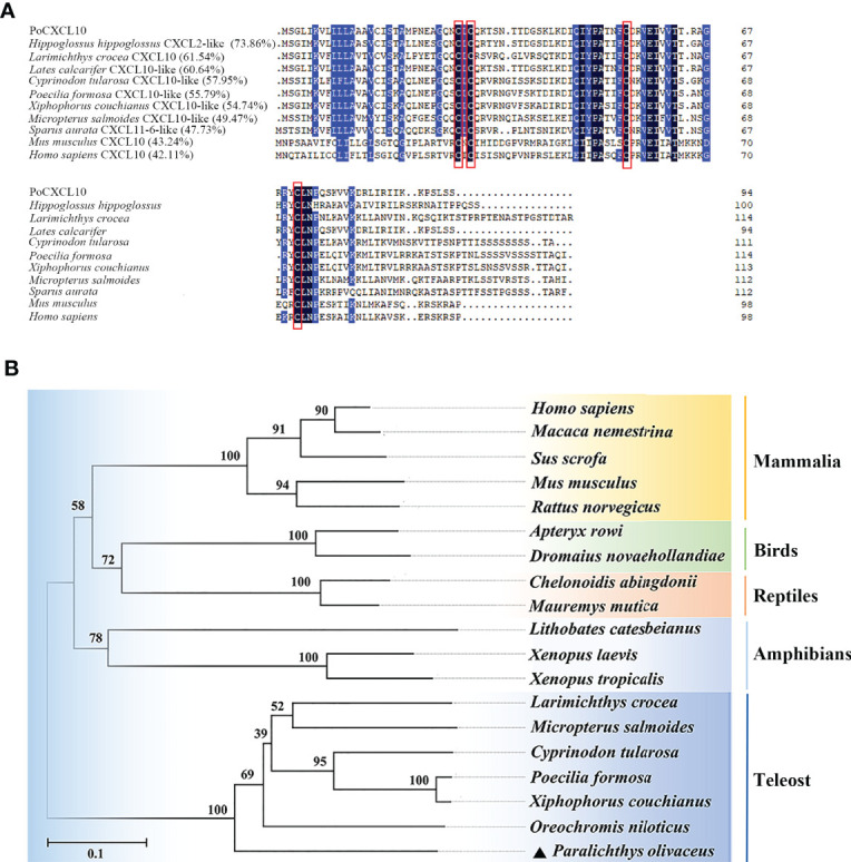 Figure 1