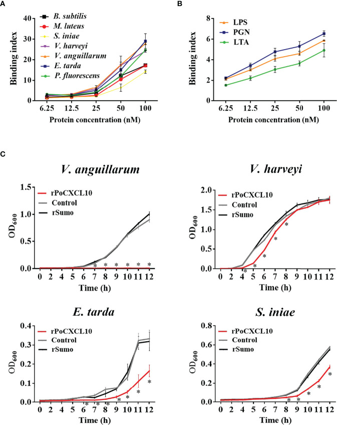 Figure 2