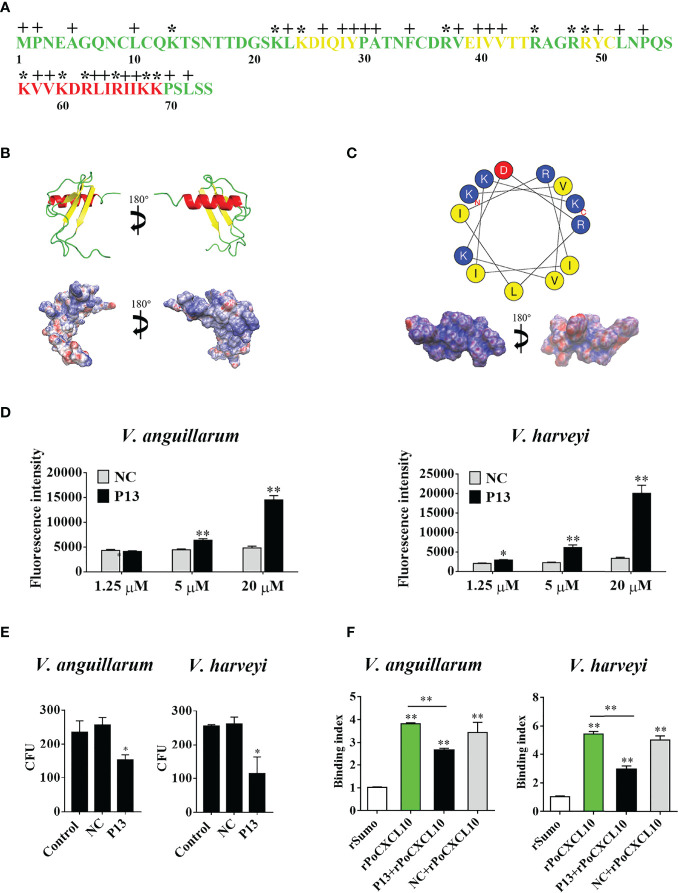 Figure 4