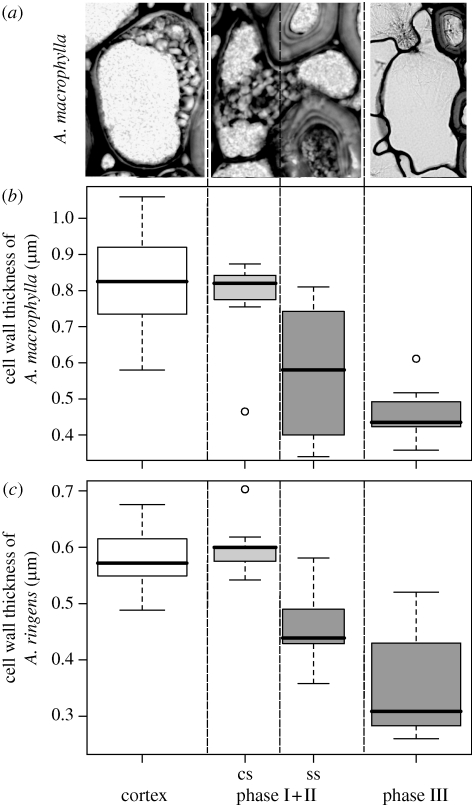 Figure 4.