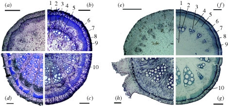 Figure 1.