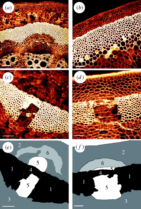 Figure 2.