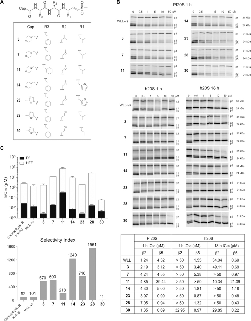 Figure 3.