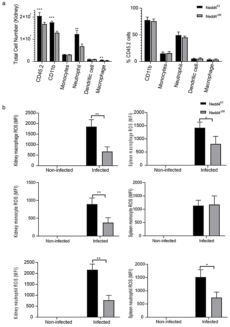 Figure 5: