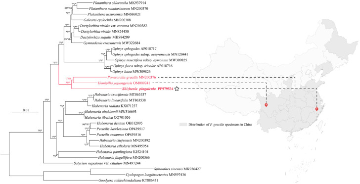 Figure 11