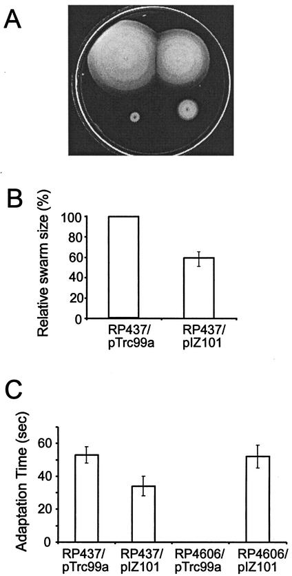 FIG. 1.