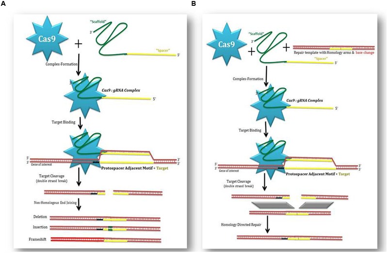 FIGURE 2