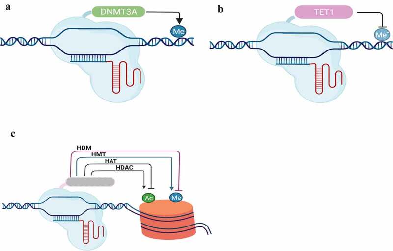 Figure 6.