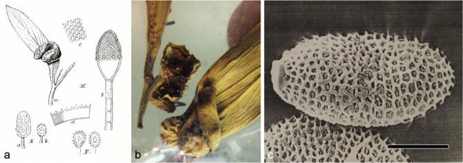 Fig. 14