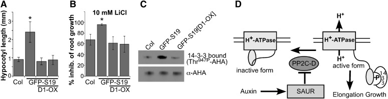 Figure 7.