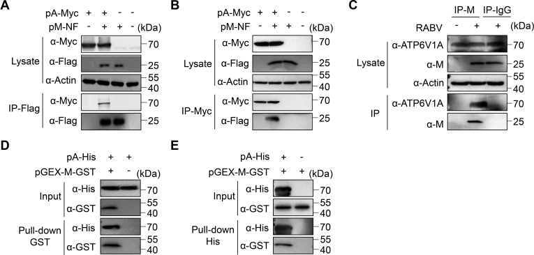 Figure 6