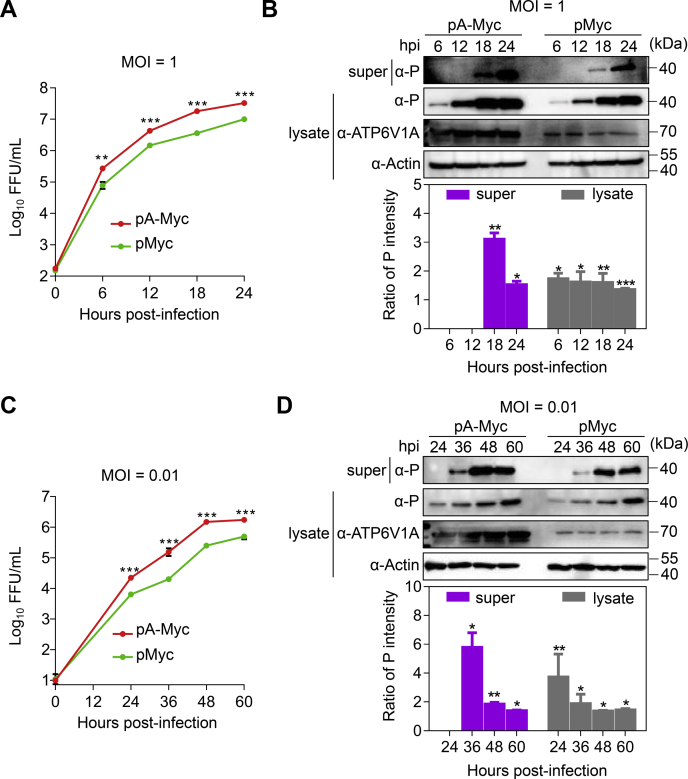 Figure 3