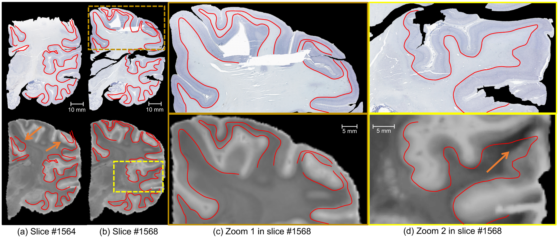 Figure 10: