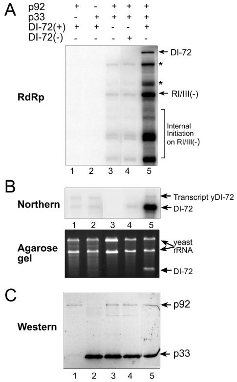 FIG. 5.