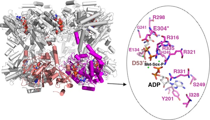 FIGURE 4.