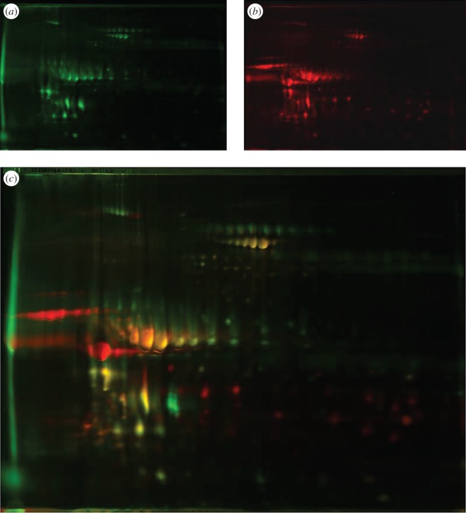 Figure 2.