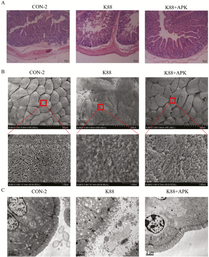 Figure 6.