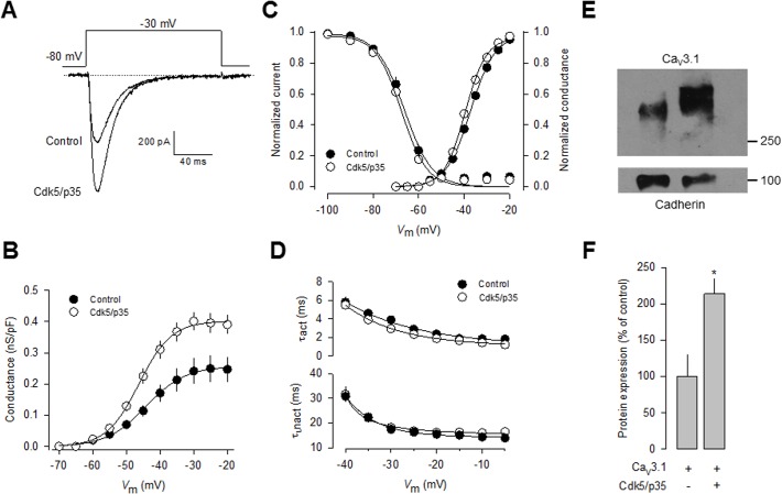 Fig 5