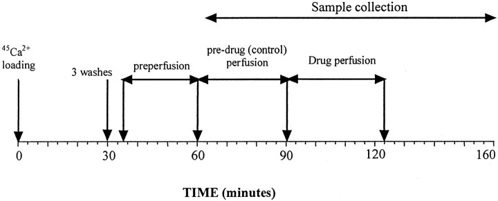 graphic file with name ns2304796sc1.jpg