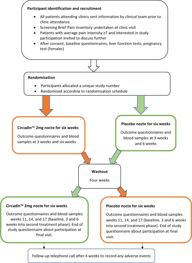 Phase II double-blind randomised controlled trial of exogenous ...