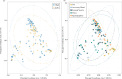 Principal coordinate analysis (PCoA) of reproductive tissue and gut samples (n = 138) using a Bray–Curtis distance matrix by sperm viability cohort (a) or tissue type (b).
