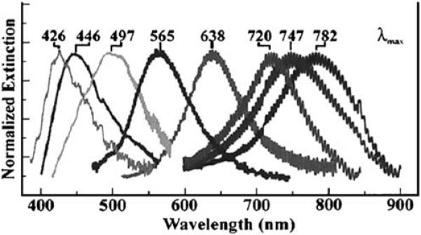 Figure 25