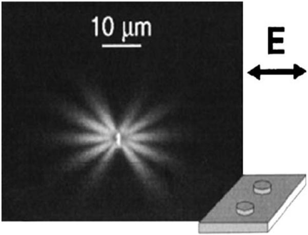 Figure 33