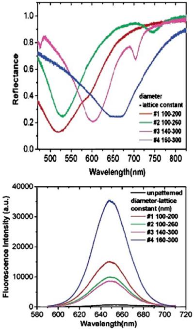 Figure 30