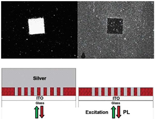 Figure 31