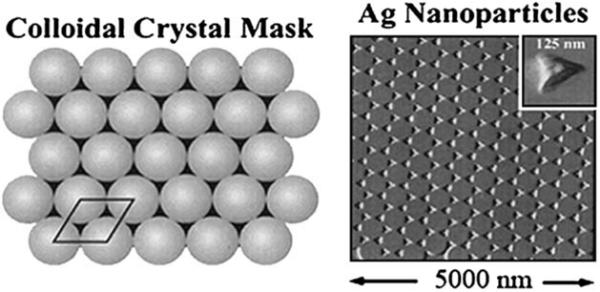 Figure 24