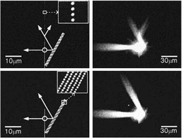 Figure 34