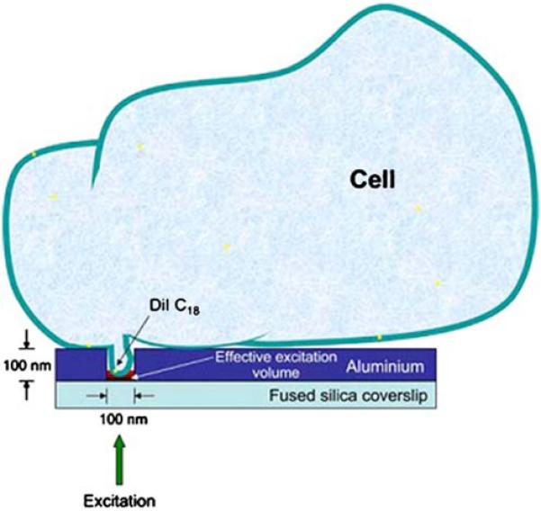 Figure 45