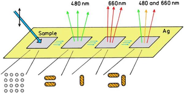 Figure 37