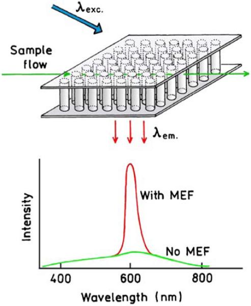 Figure 22