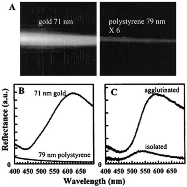 Figure 19