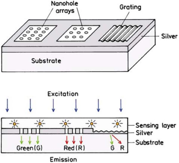 Figure 13