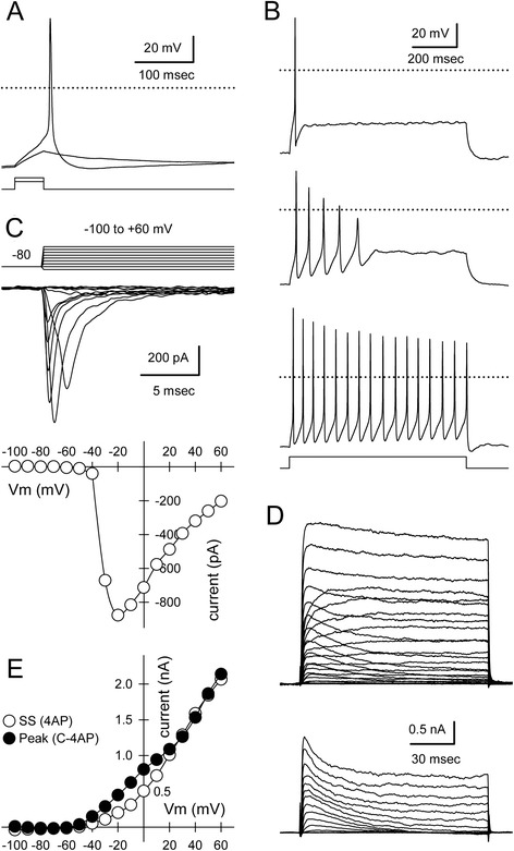 Fig. 6