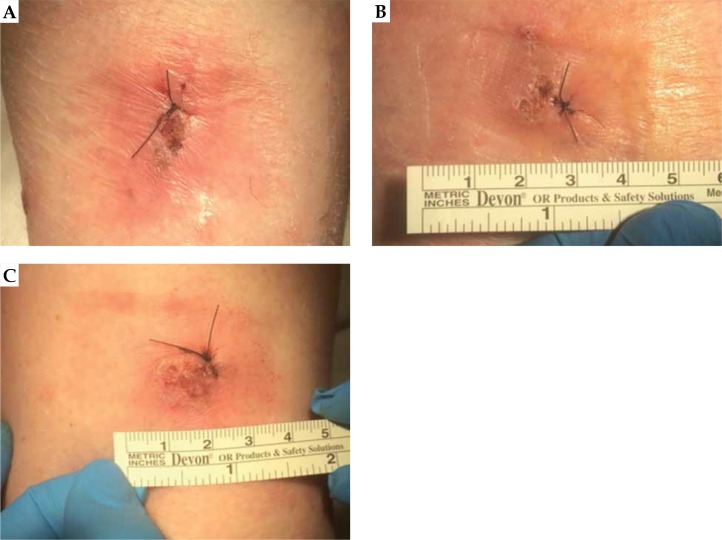 Fig. 7