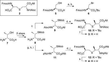 Scheme 1