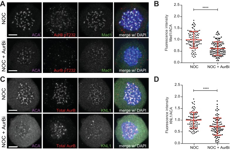 Figure 3—figure supplement 2.