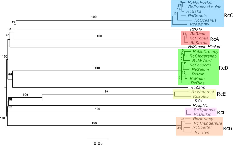 Fig 4