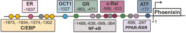 Figure 2.