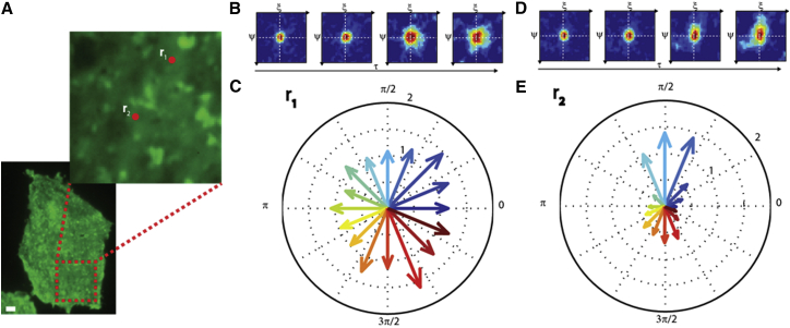 Figure 7