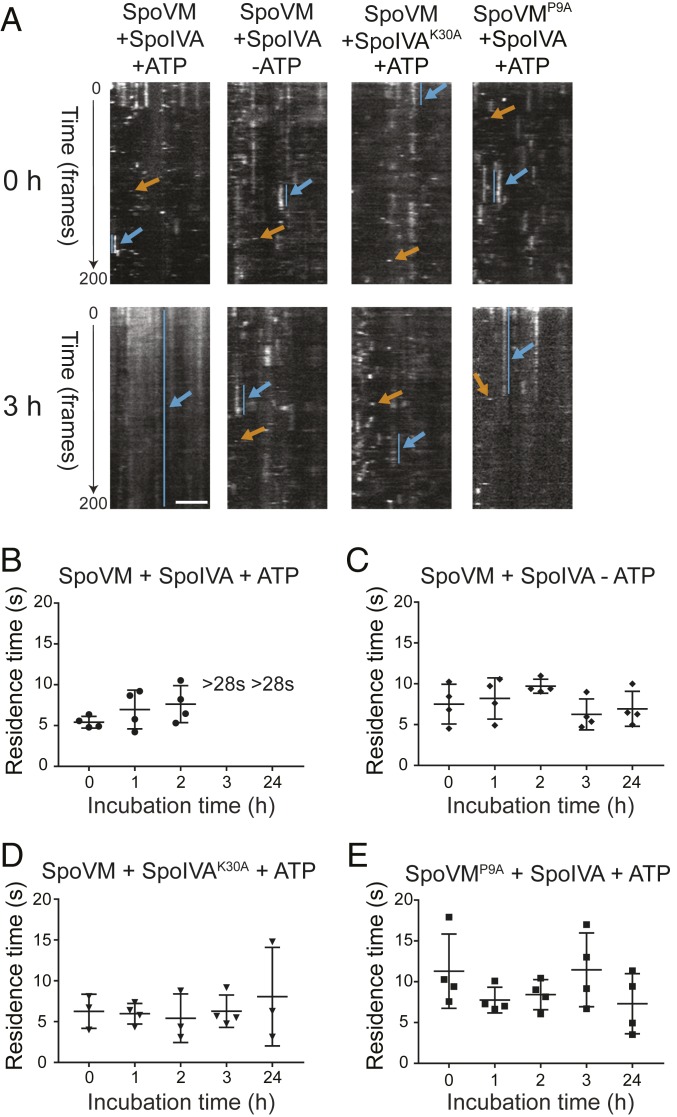 Fig. 4.