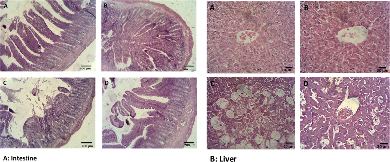 Fig. 8