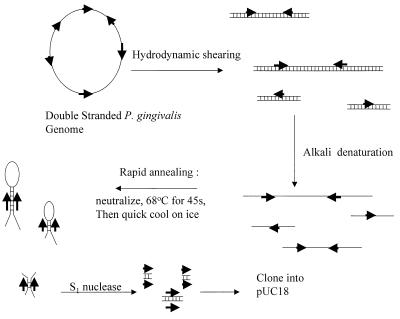 FIG. 1