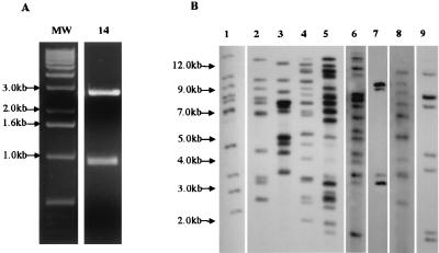 FIG. 3