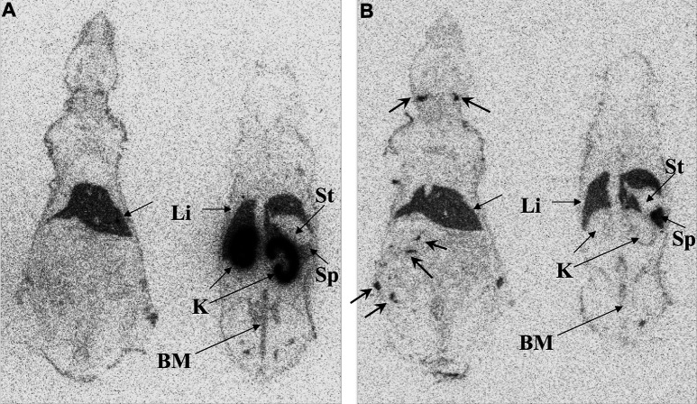 Fig. 4A, B