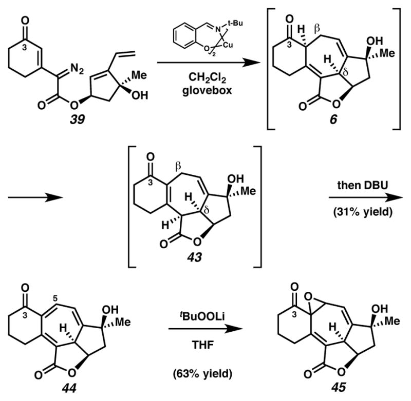 Scheme 14