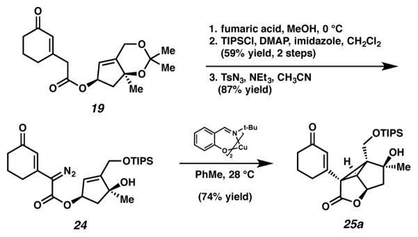 Scheme 5